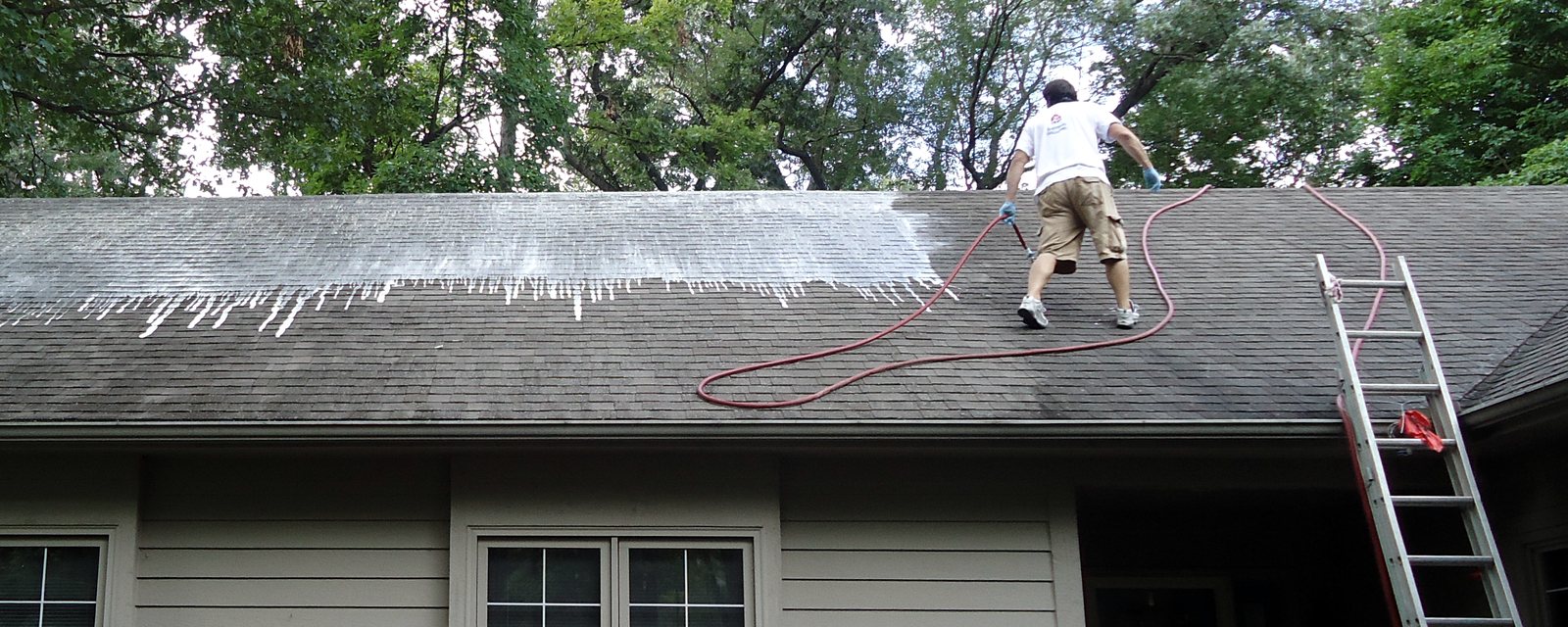 A worker stands upright on the low-slope asphalt roof of a single-storey house, with the ridge line along the top, one shingle course across the plane, and the ladder propped at the roof edge all marked — the slope and access a roofing crew prices before counting any material.